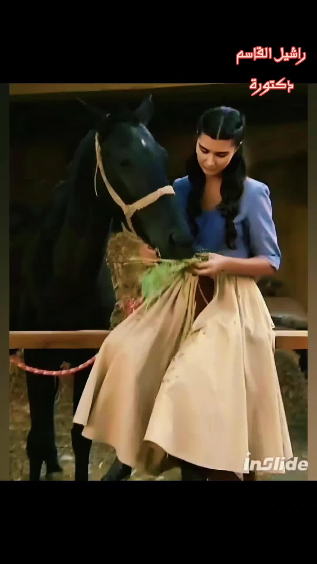 @راشيل القاسم