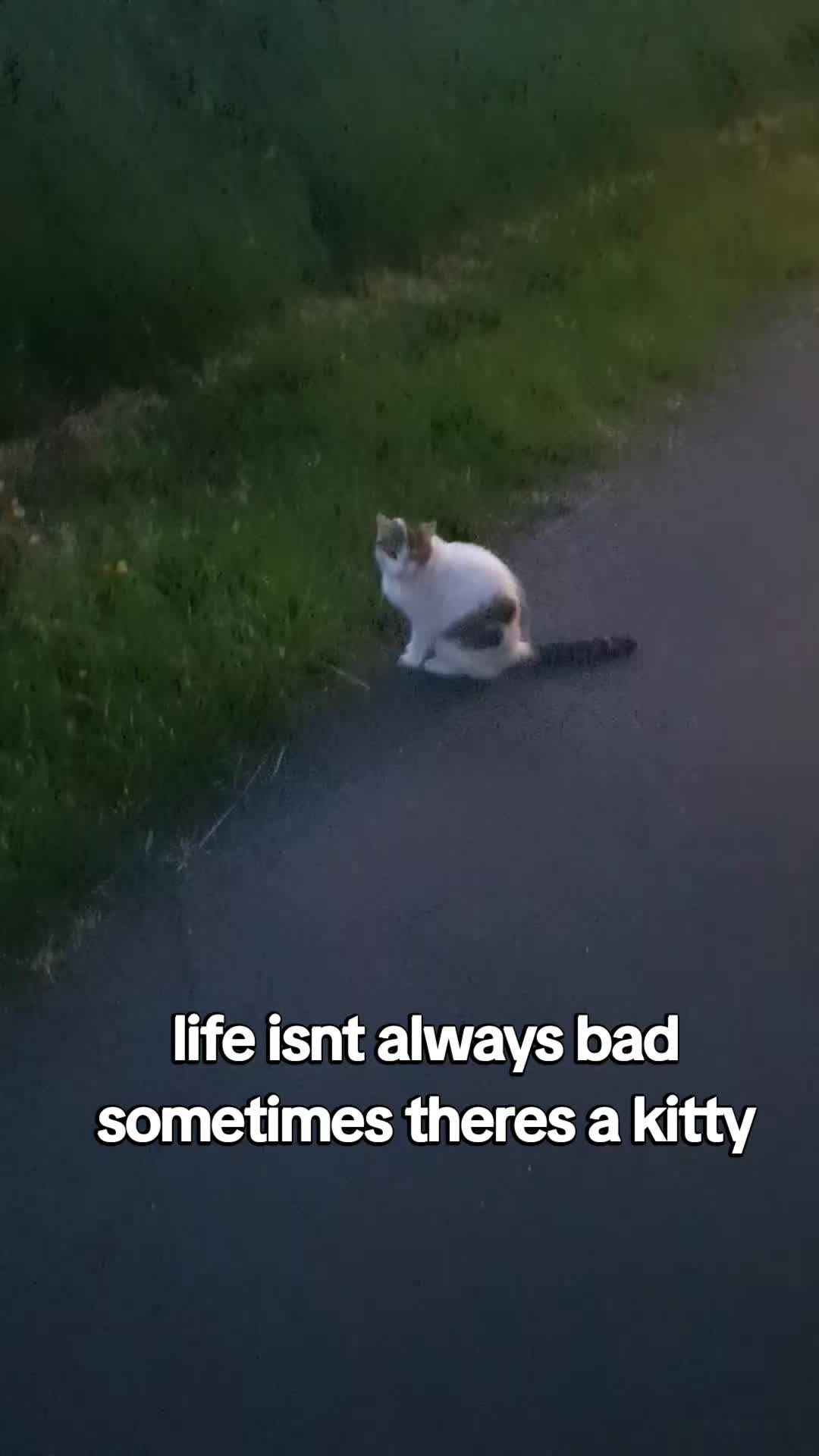 @leavemillalone
