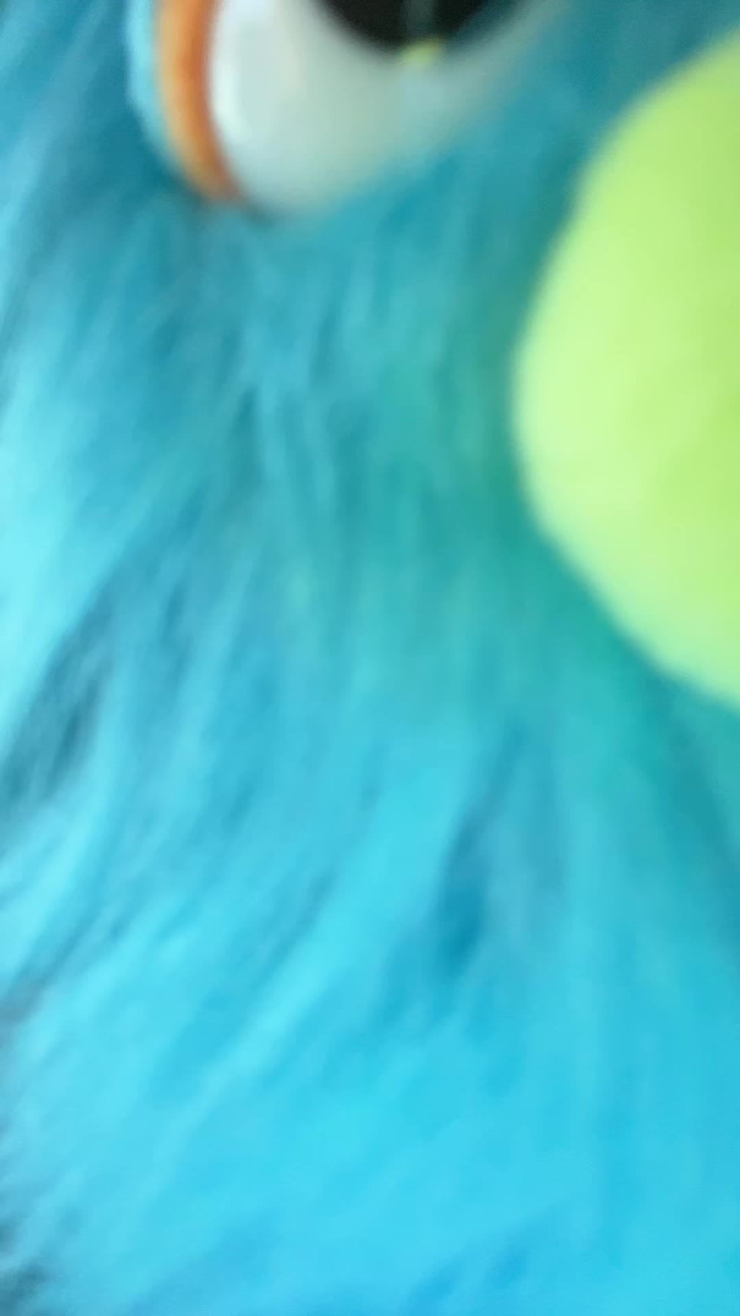 @Josh