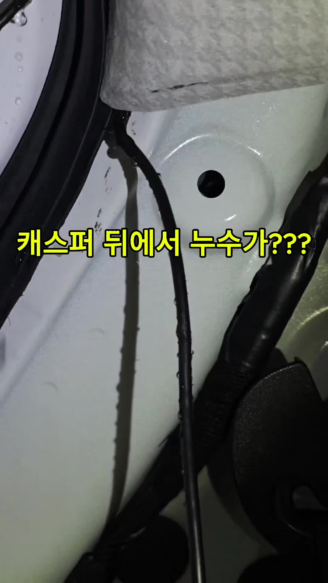 @샤인카랩디테일링본점