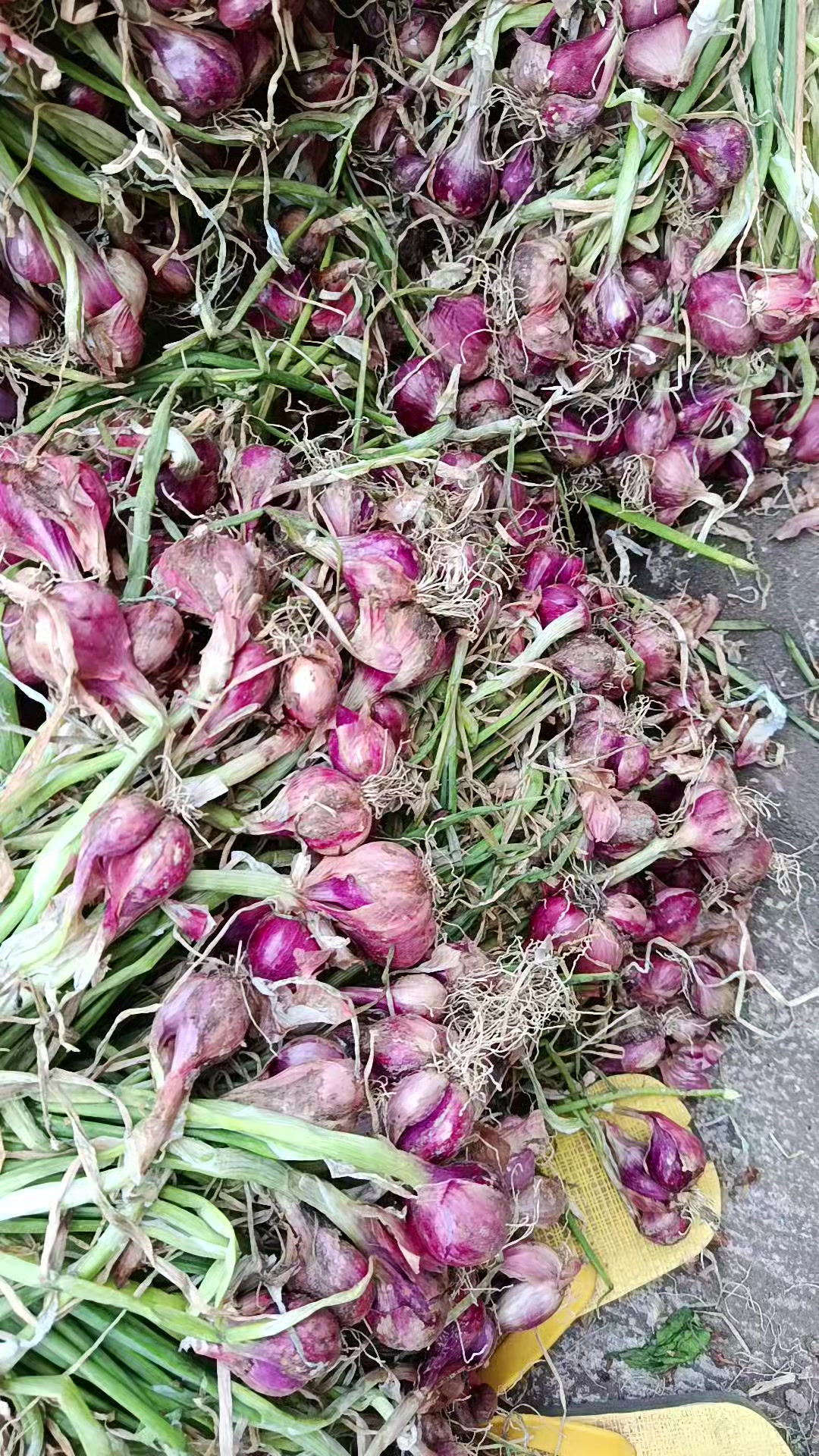 @Mujiati Sayur