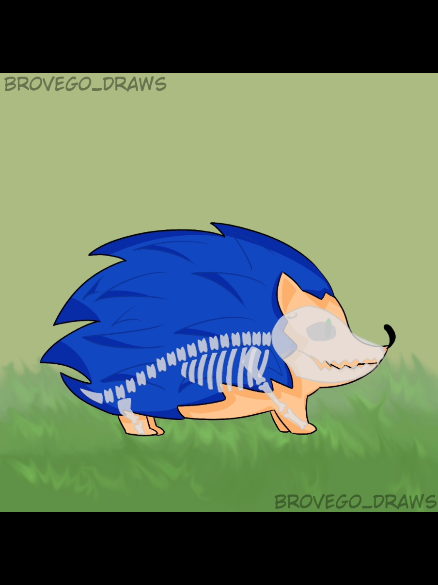 @Brovego draws✨