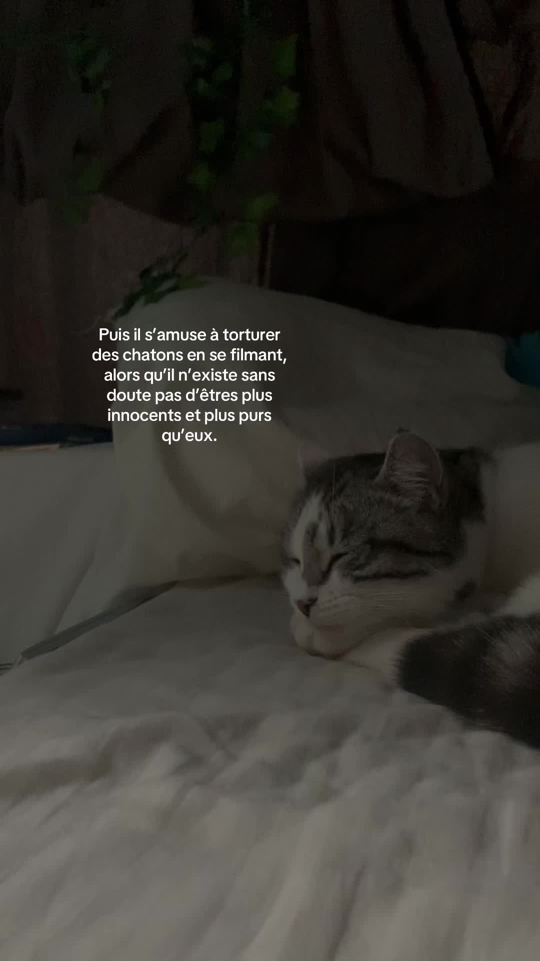 @𝓐𝓷𝓪𝓲𝓼𝓐𝓭𝓵𝓷🪽