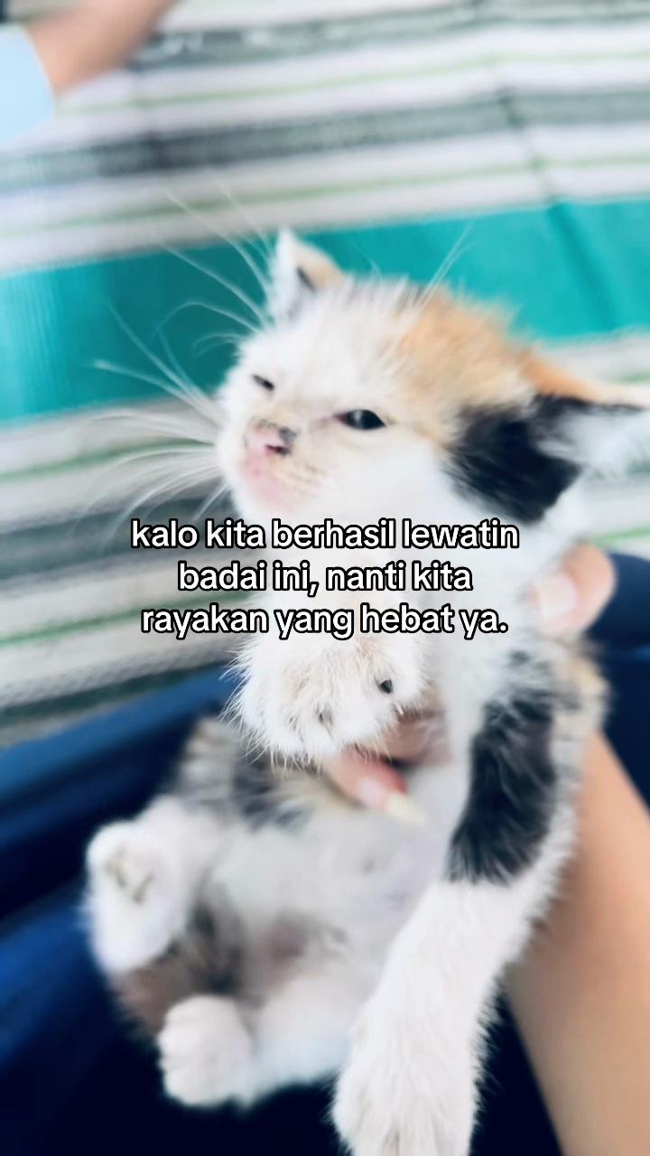 @blablabla