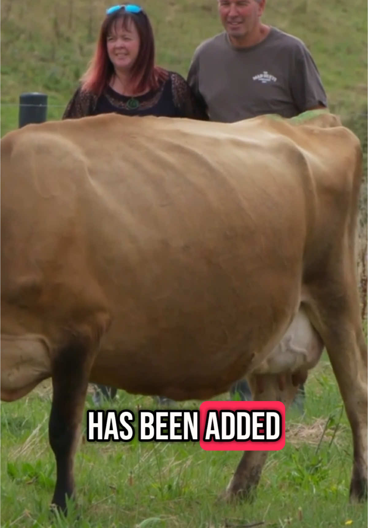 @Udderly