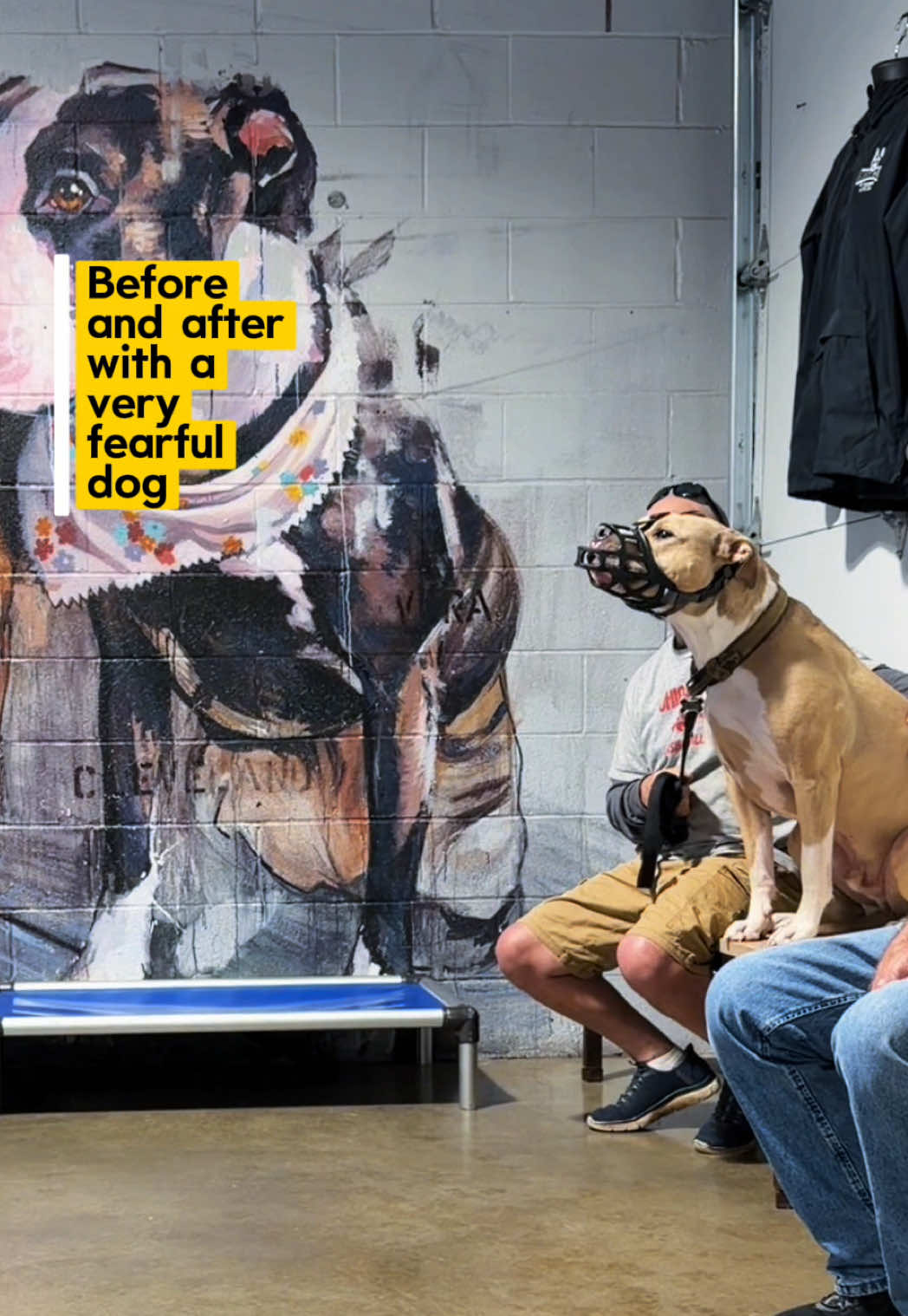 @Miracle K9 Training