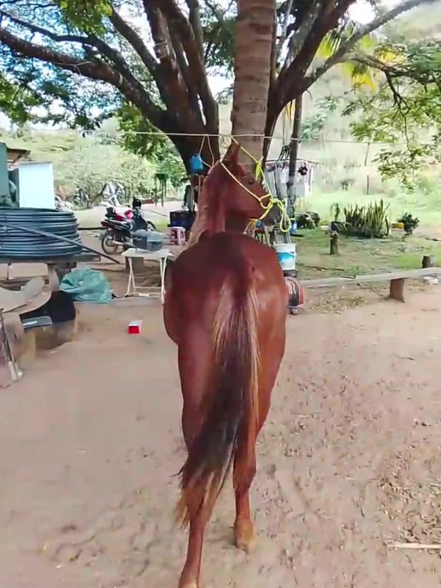 @Rancho beira mata🇧🇷🇺🇸