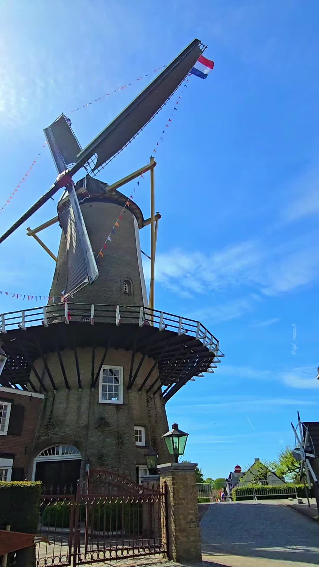 @Sylvana 🇳🇱