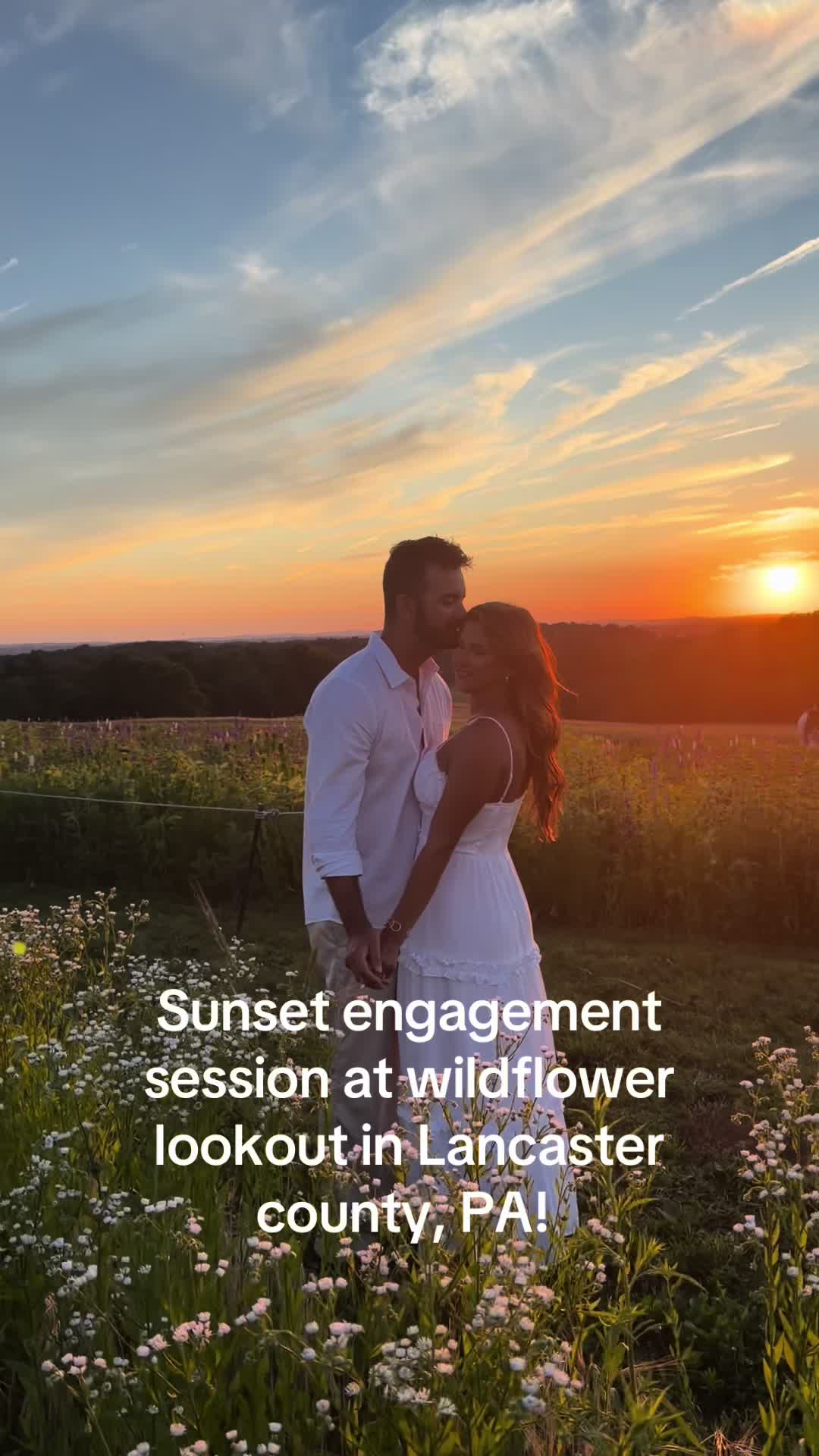 @WildMeadowPhotography