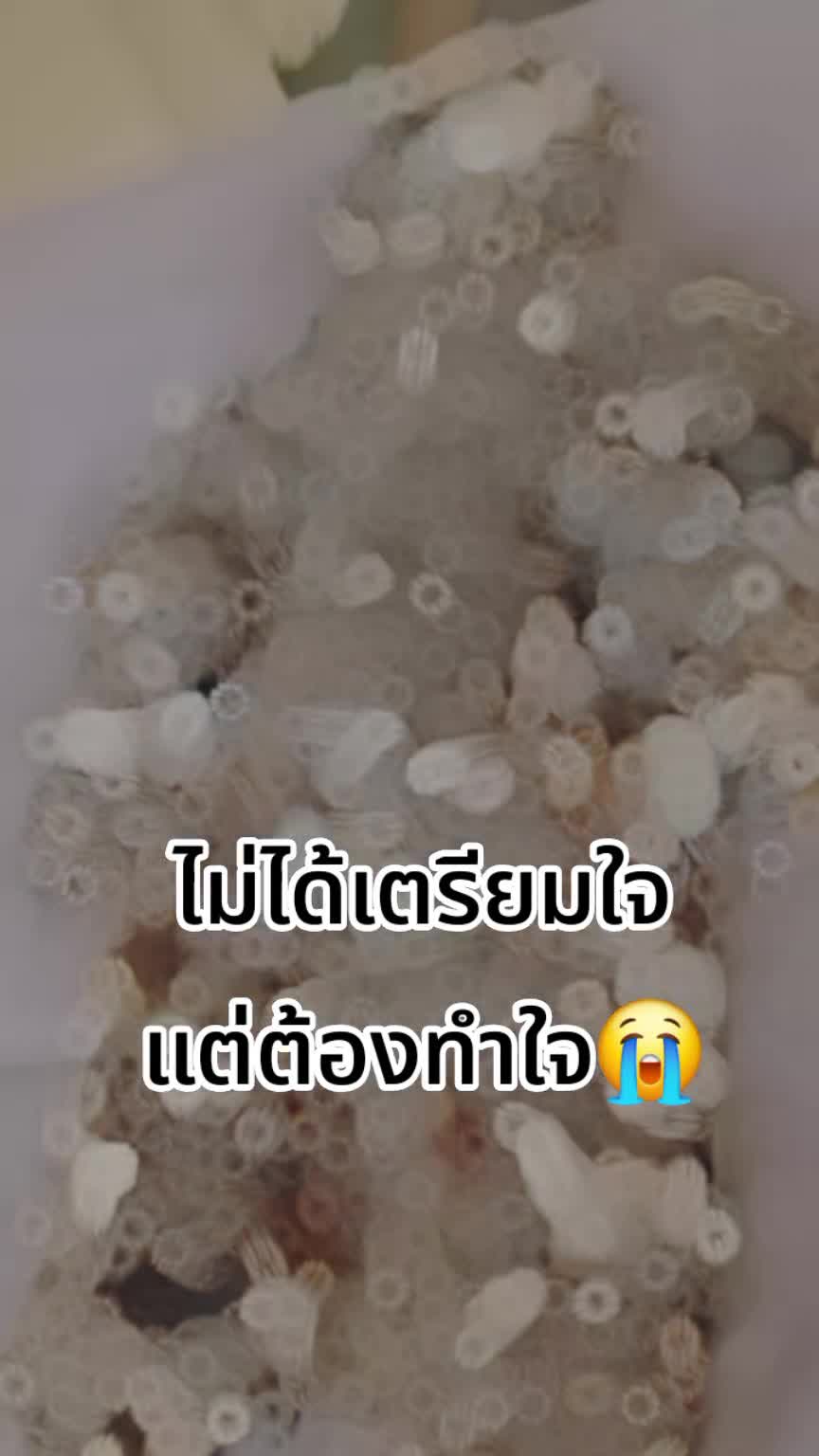 @AUM