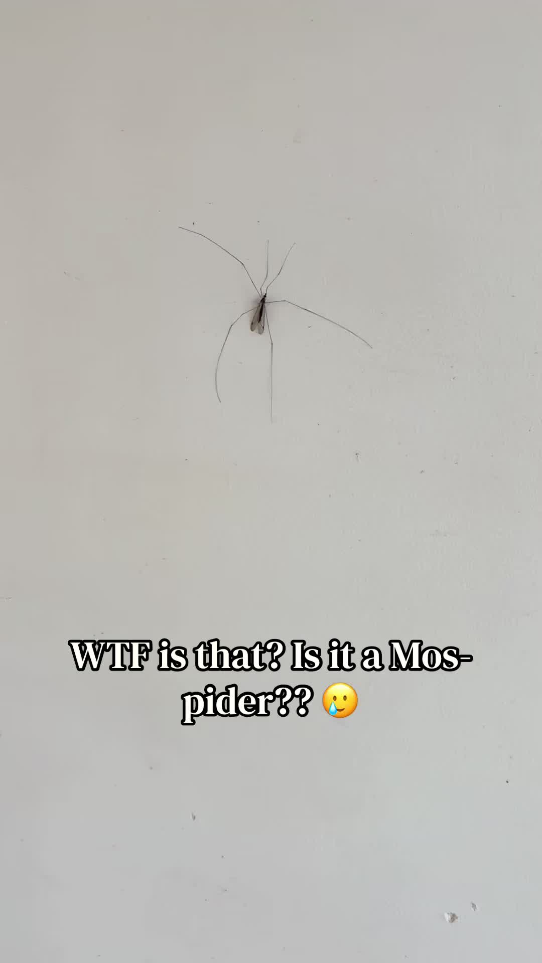 @Ari 🦋