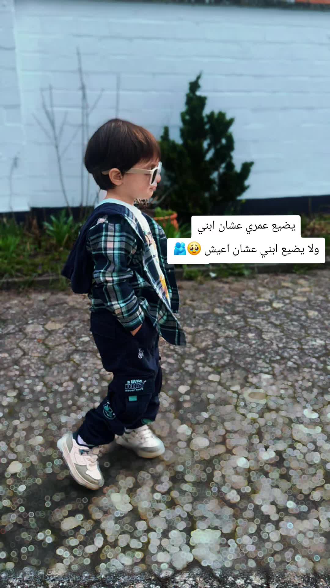 @shahed sy