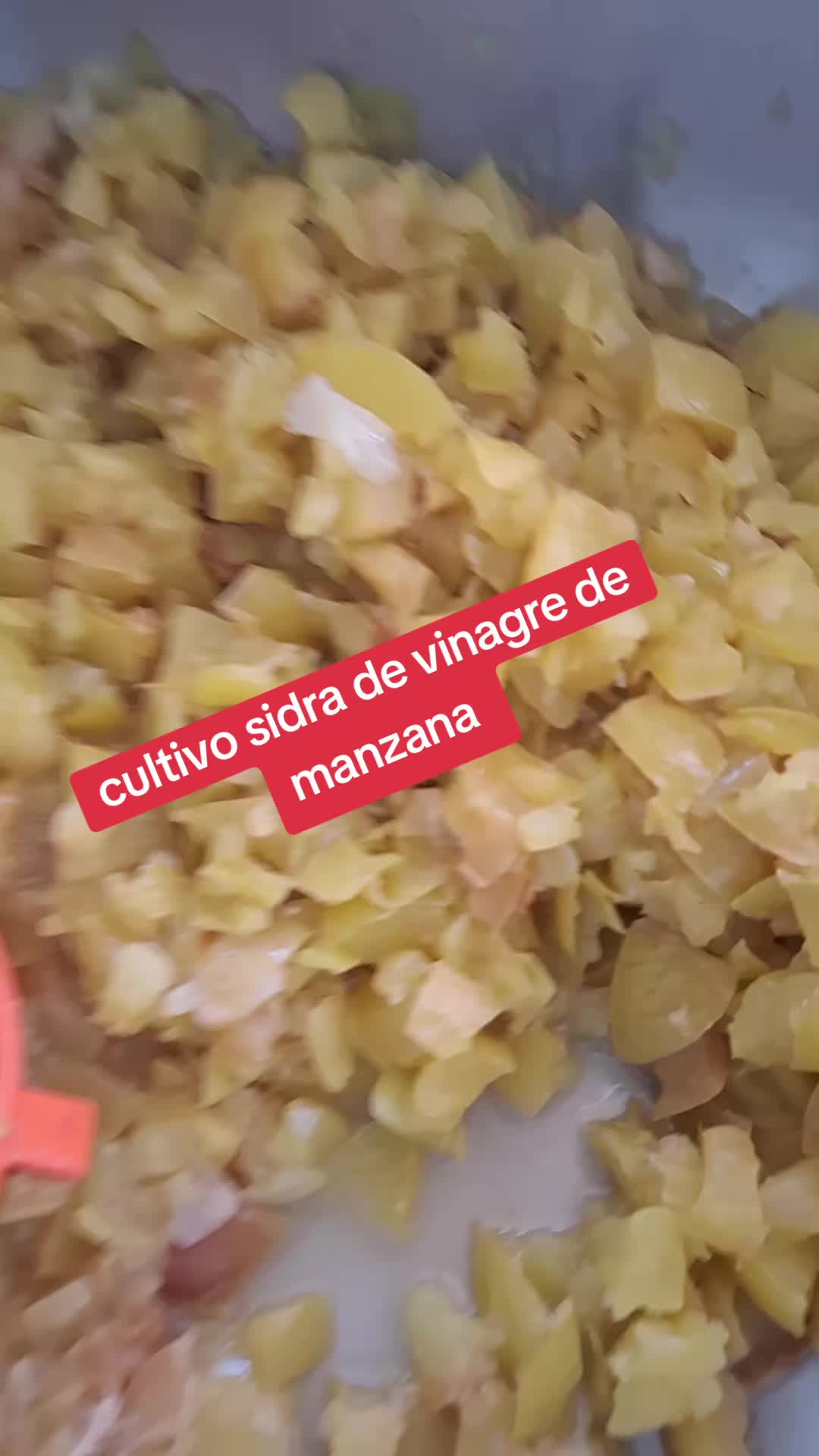 @Rocío silva
