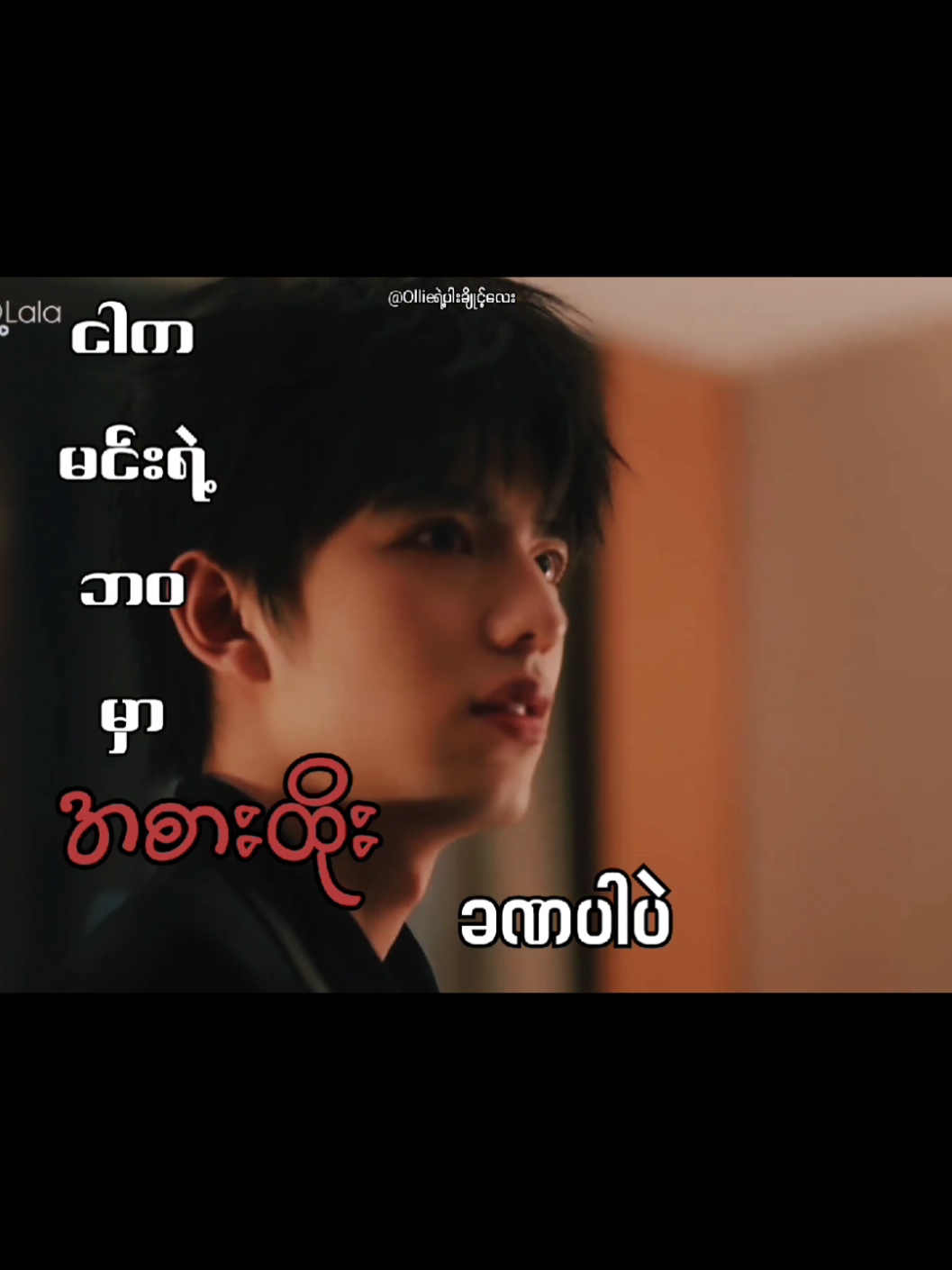 @Ollieရဲ့ပါးချိုင့်လေး🐶🐷