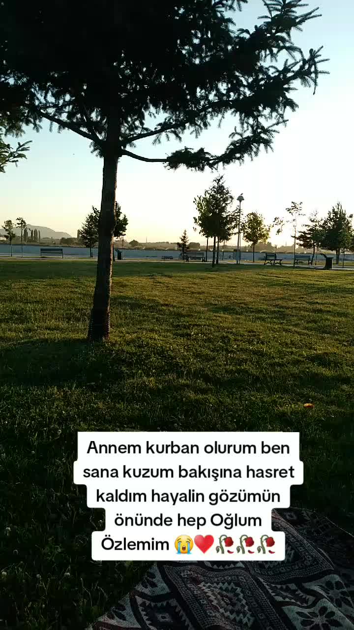 @Sibel Arslan