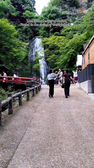 @Kintara Malik 🇯🇵🇵🇰