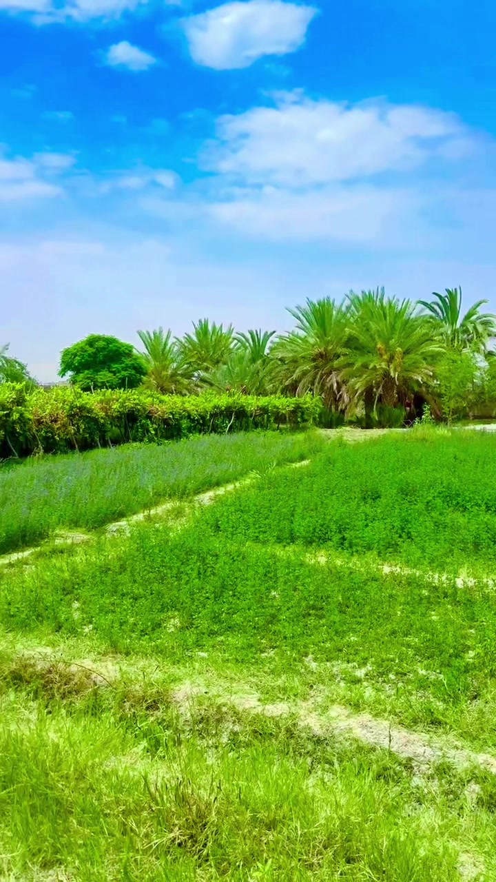 @⚔️احسان بلوچ گچکی⚔️