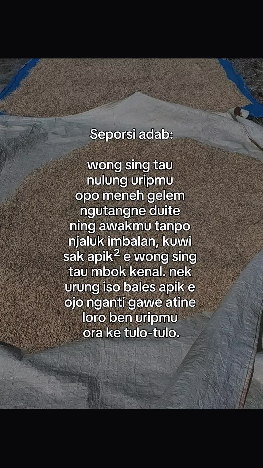 @n@w@ng wul@n 🥰