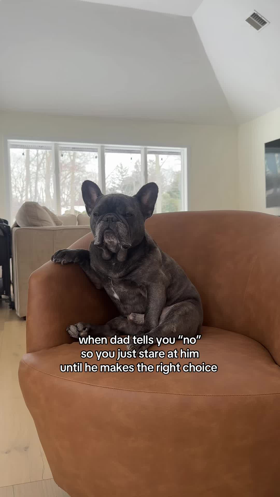 @Winston & Charlie 🐾