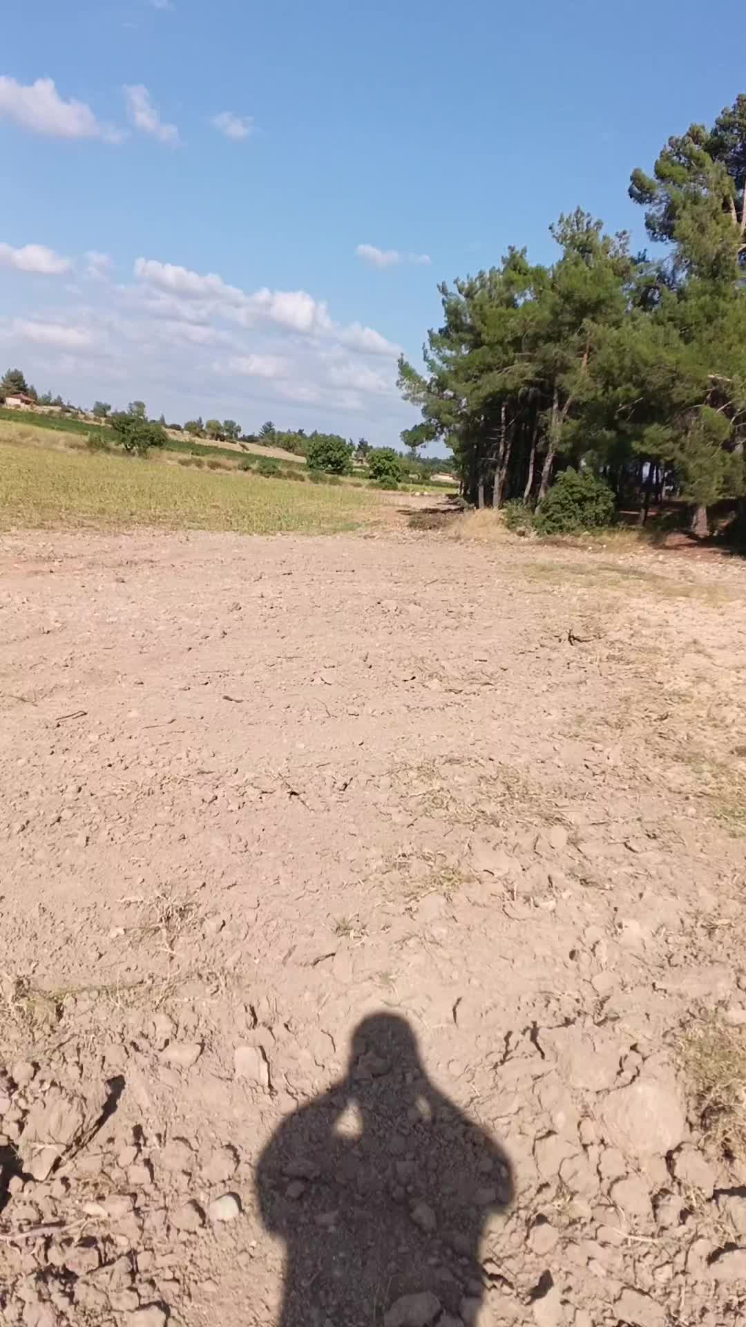 @Ali G&ouml;nen