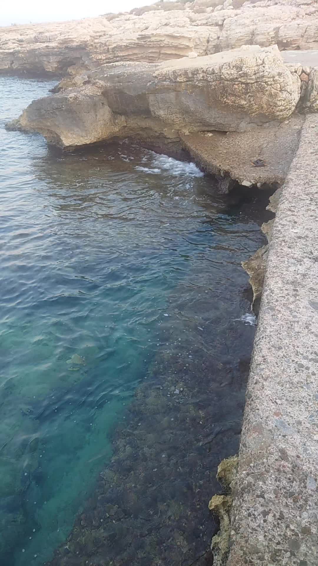 @ᥫ᭡
