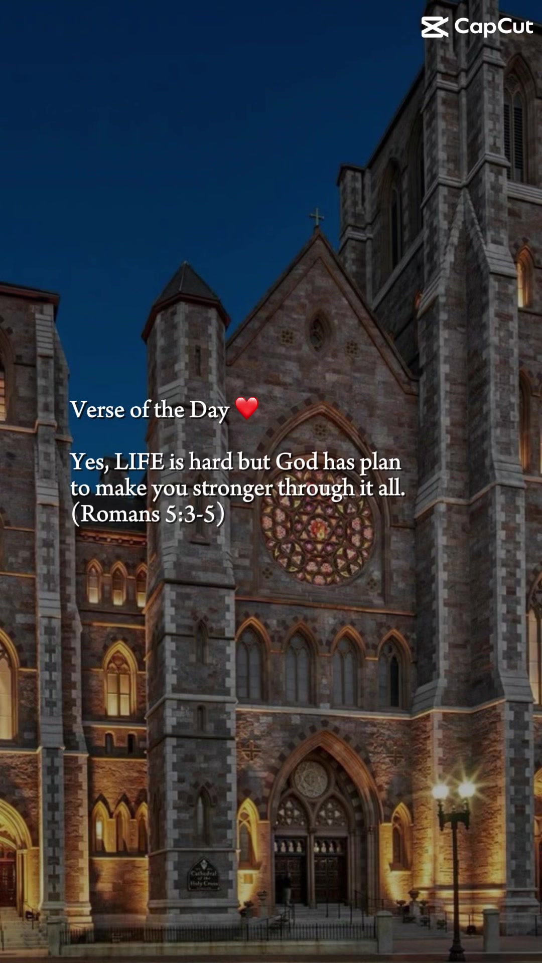 @🌹LC🌸