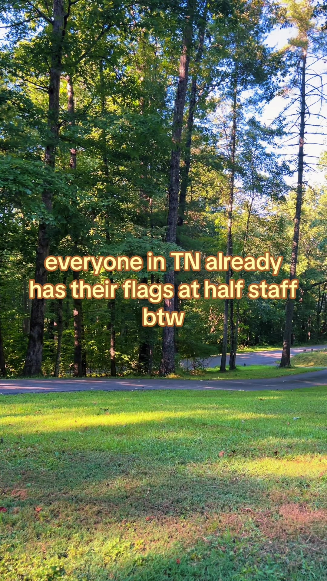 @🪼⋆.ೃ࿔*:・