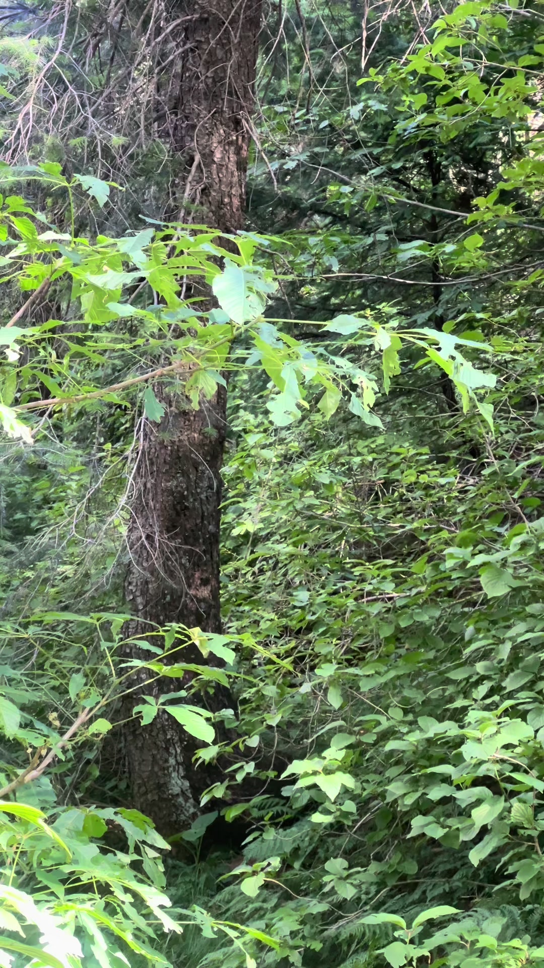 @Waqas