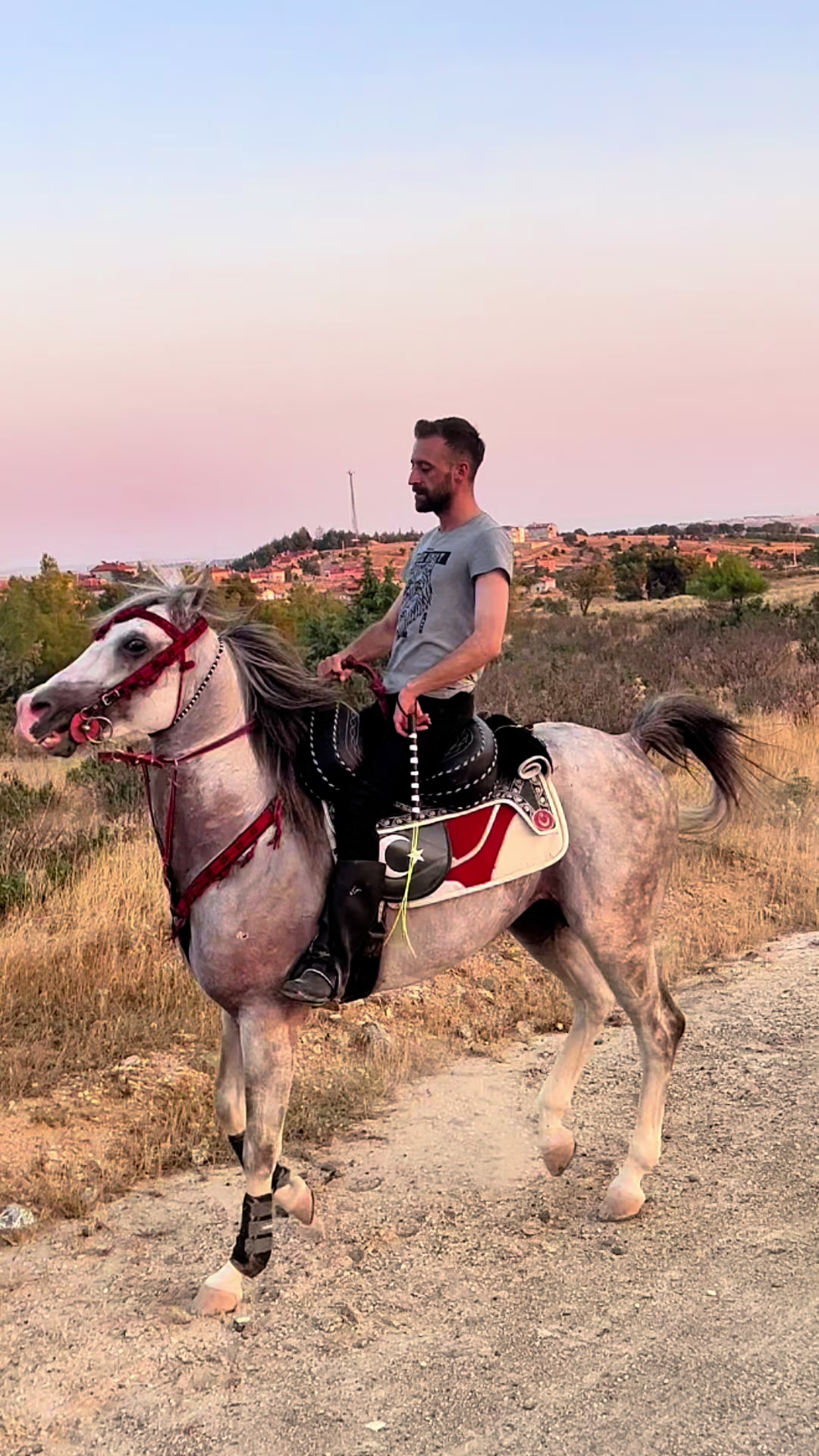 @Emre Kuş