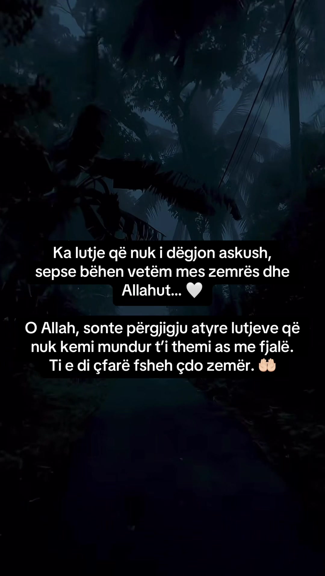 @🌙 Qet&euml;si &bull; Besim &bull; Drit&euml;