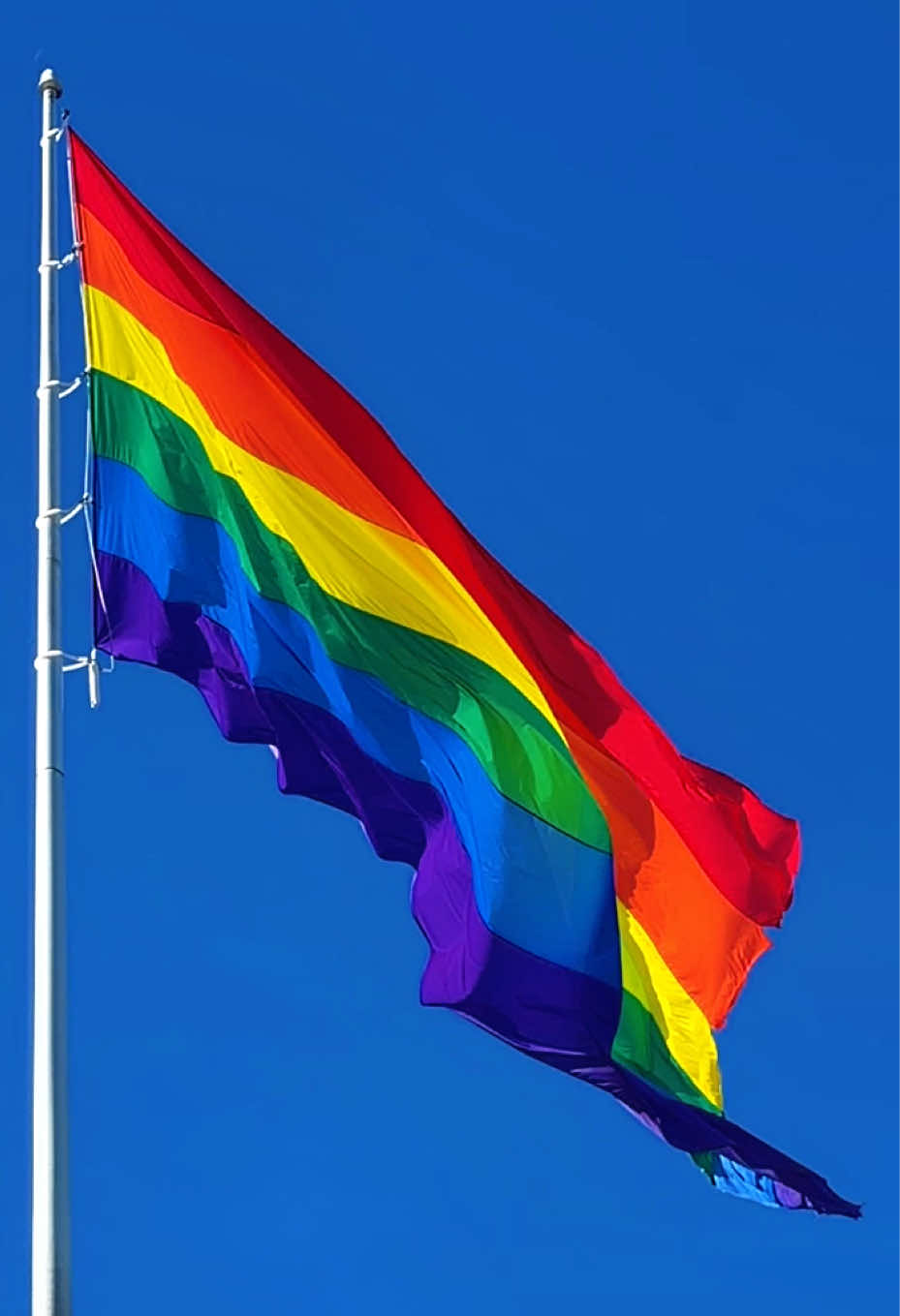 @Pride•ority