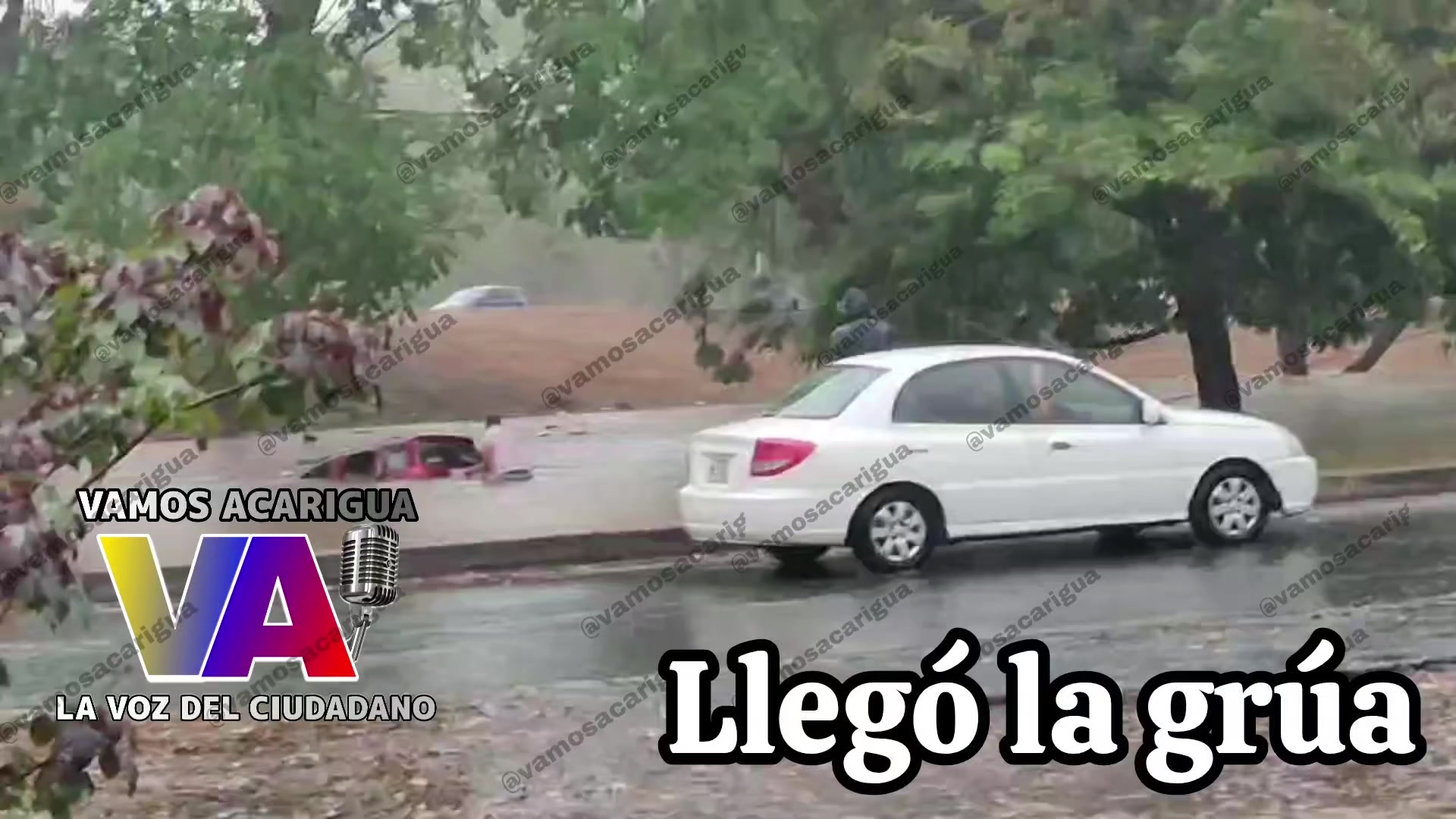 @Vamos Acarigua