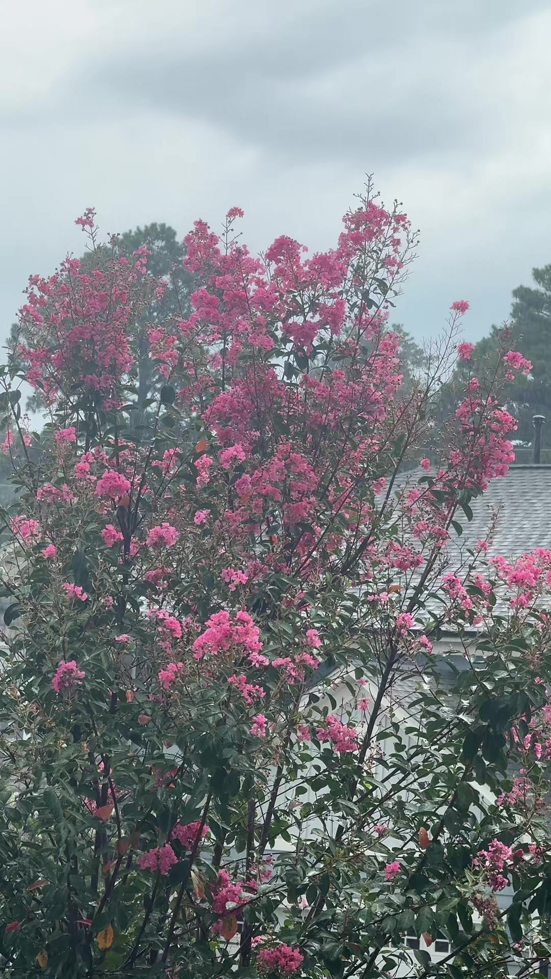 @Aartee2🦋
