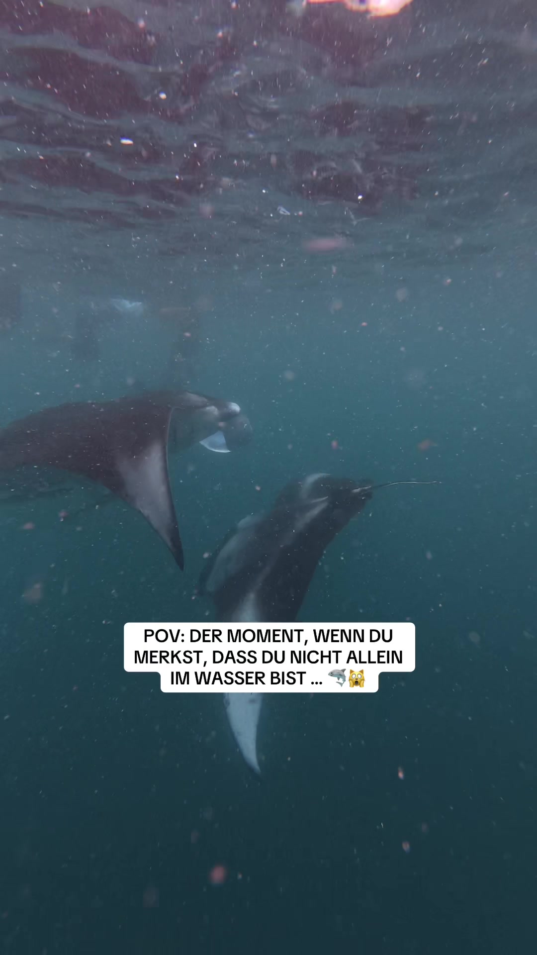 @Svemirka / Reise-Zeit.com
