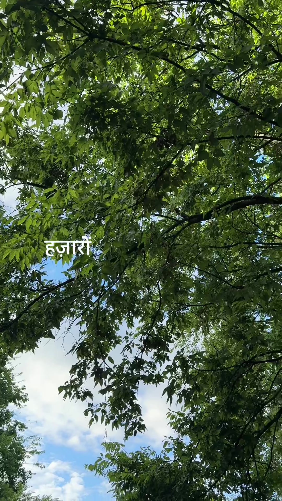 @Mamta Realtor