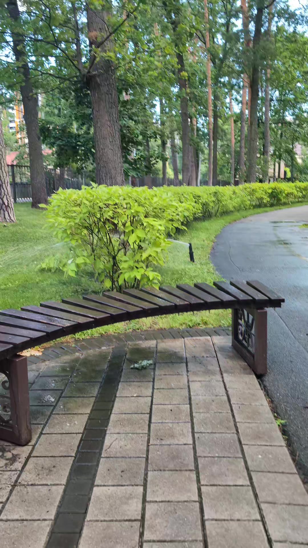 @людина яйця