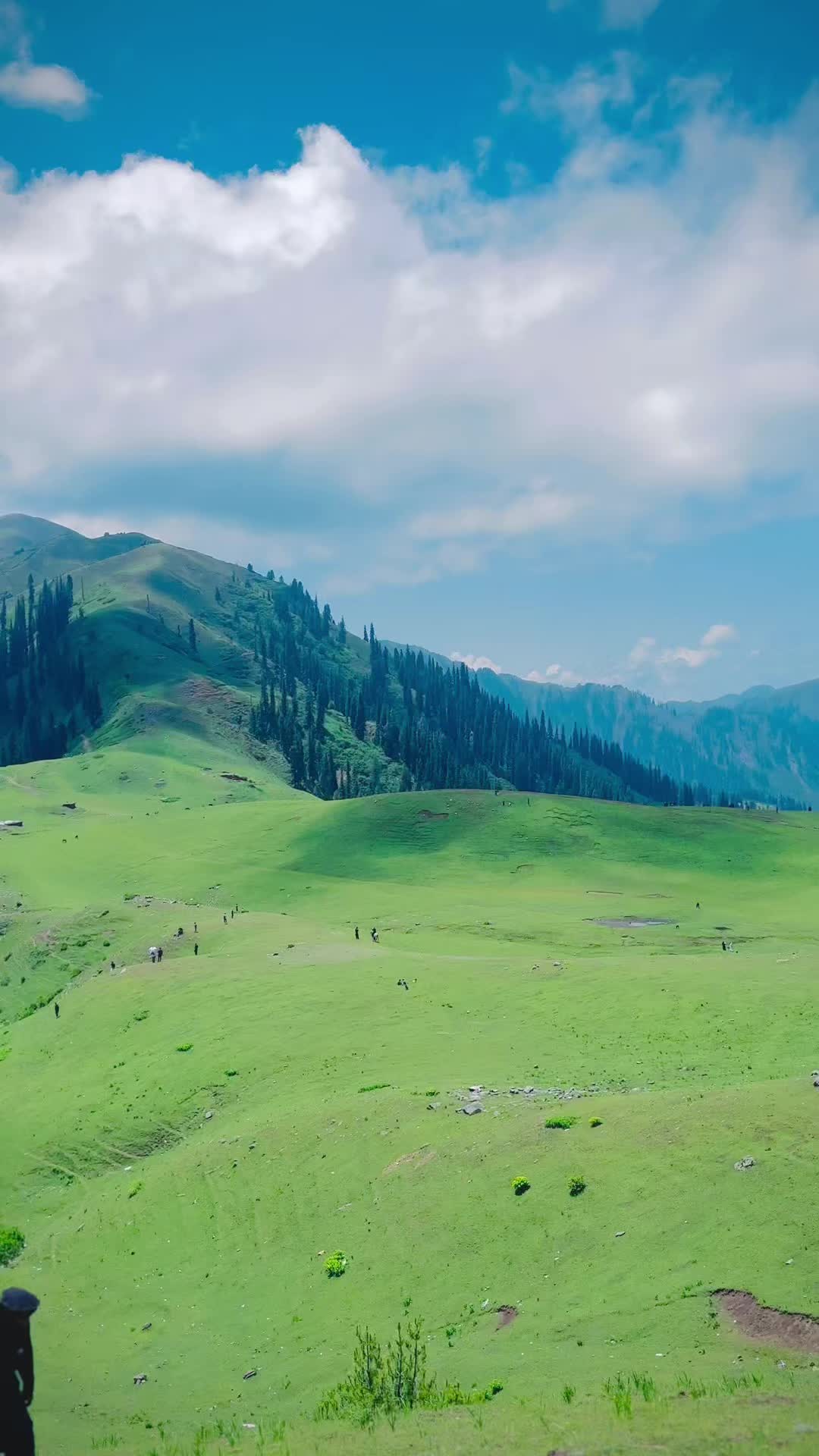 @🔥MaLaK HaRoOn🚩