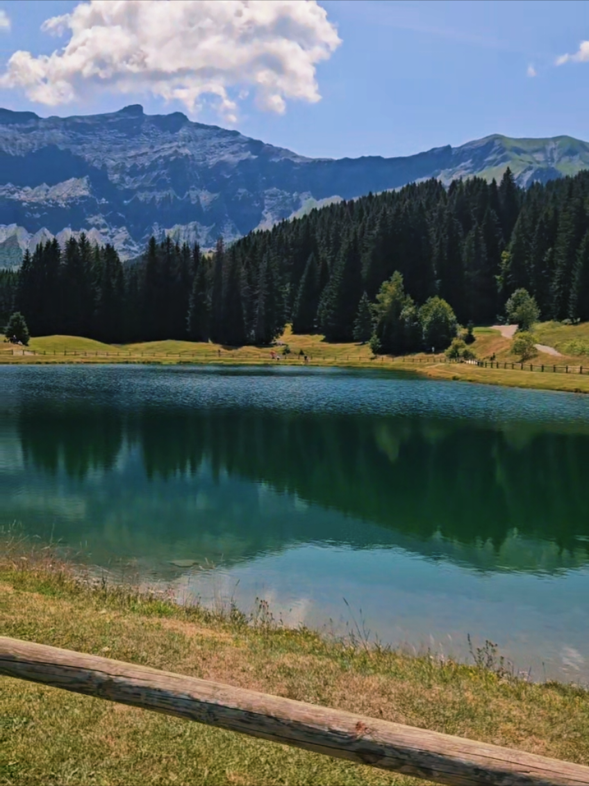 @Serena Di Domenico