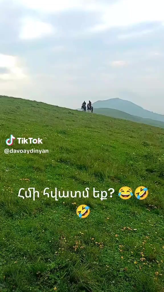 @Վաչե Գևորգյան