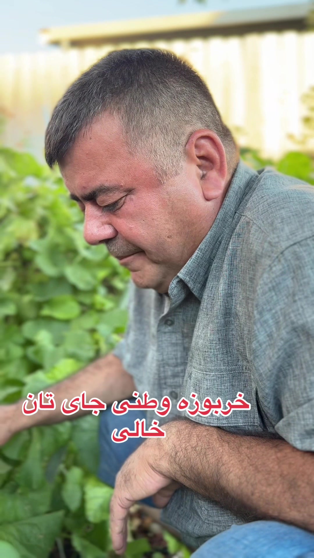 @Rahimi