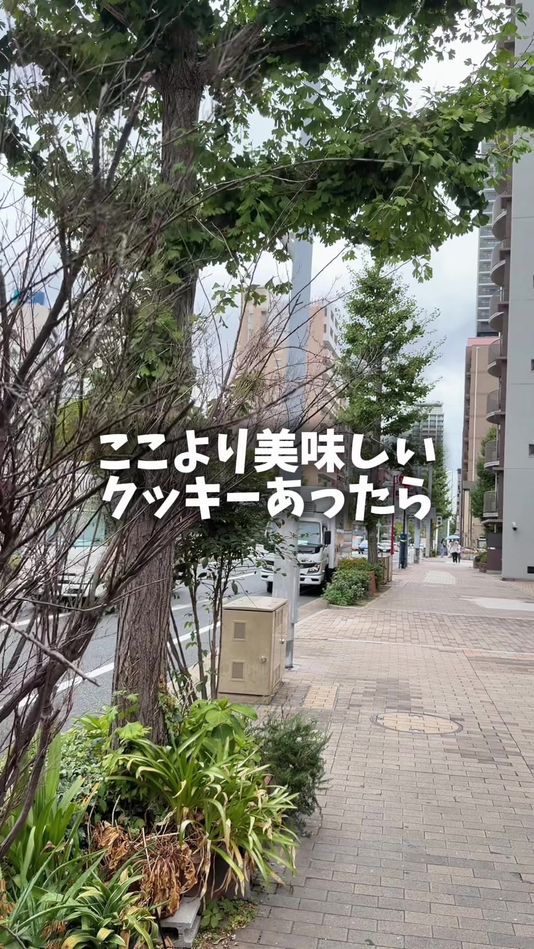 @セバ【大阪グルメ王関西グルメ王におれはなる】