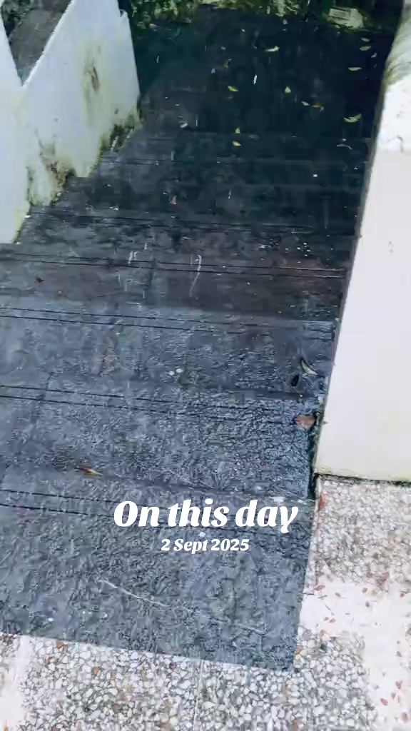 @thesweetnessguy