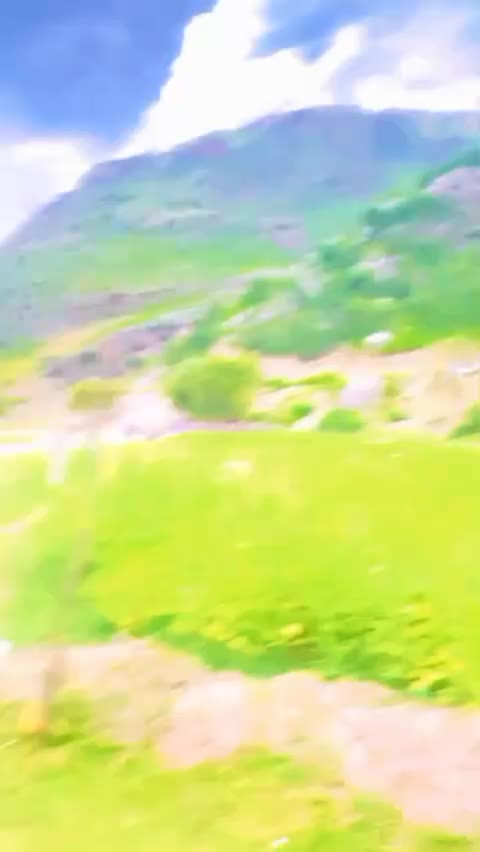 @SHAHZADA🦁🤚