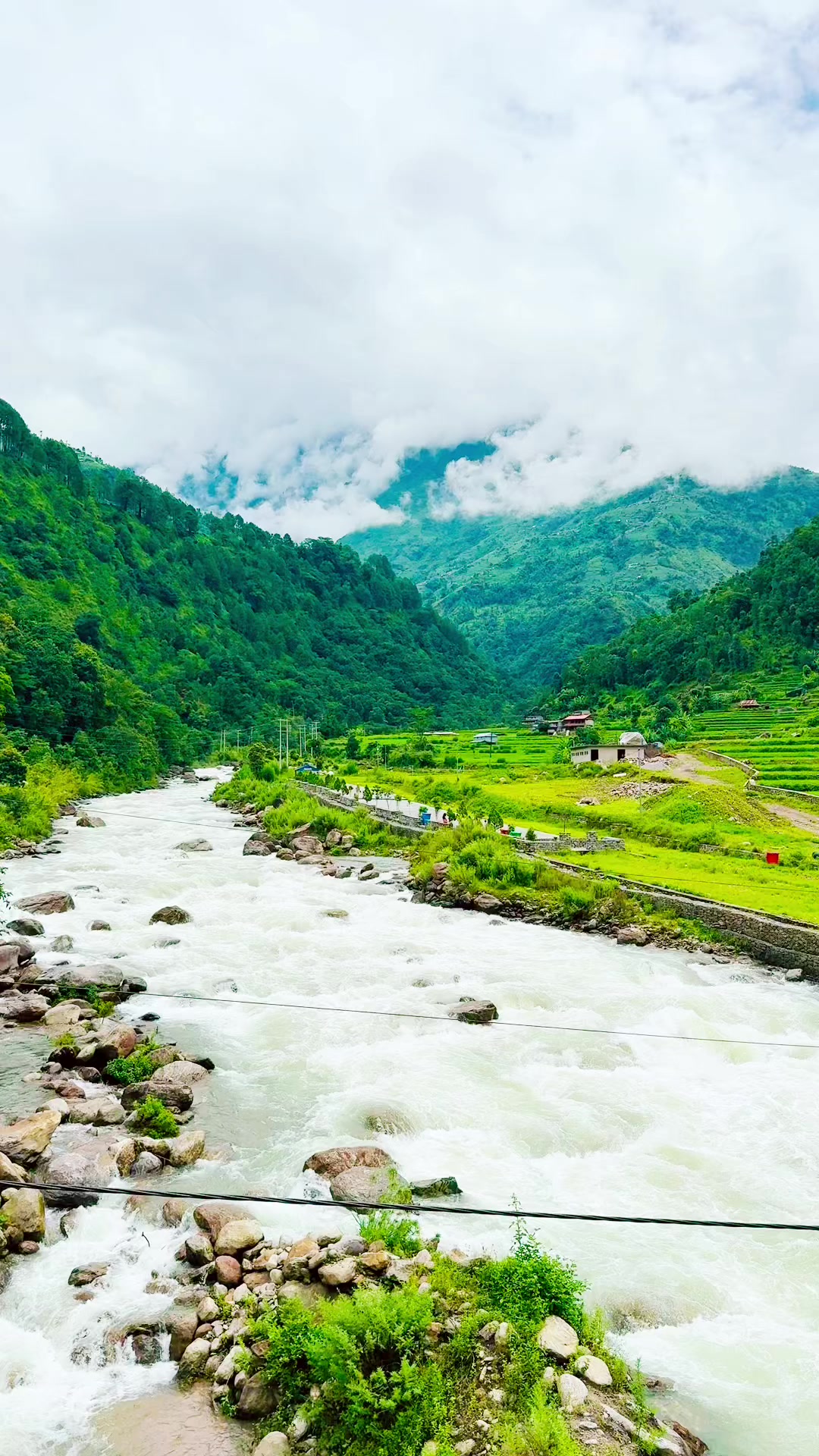 @Sheena_jais🦢🪷