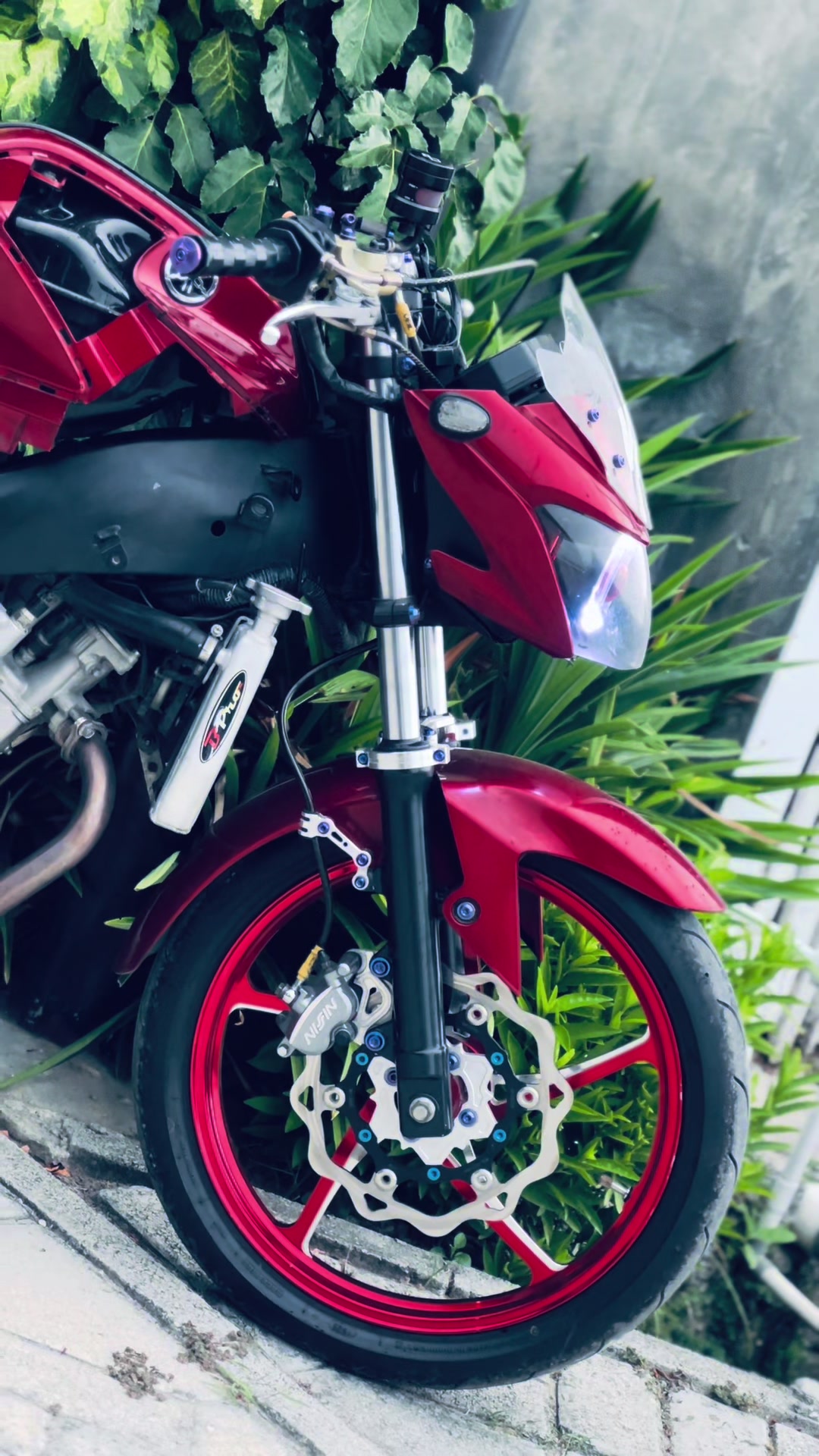 @𝐚𝐥𝐩𝐢𝐧 𝐬a𝐤𝐢𝐭𝐤𝐚𝐤𝐢
