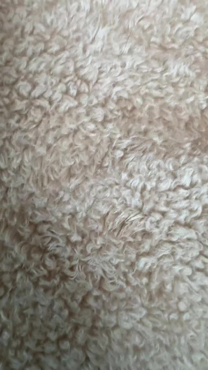 @たこ志