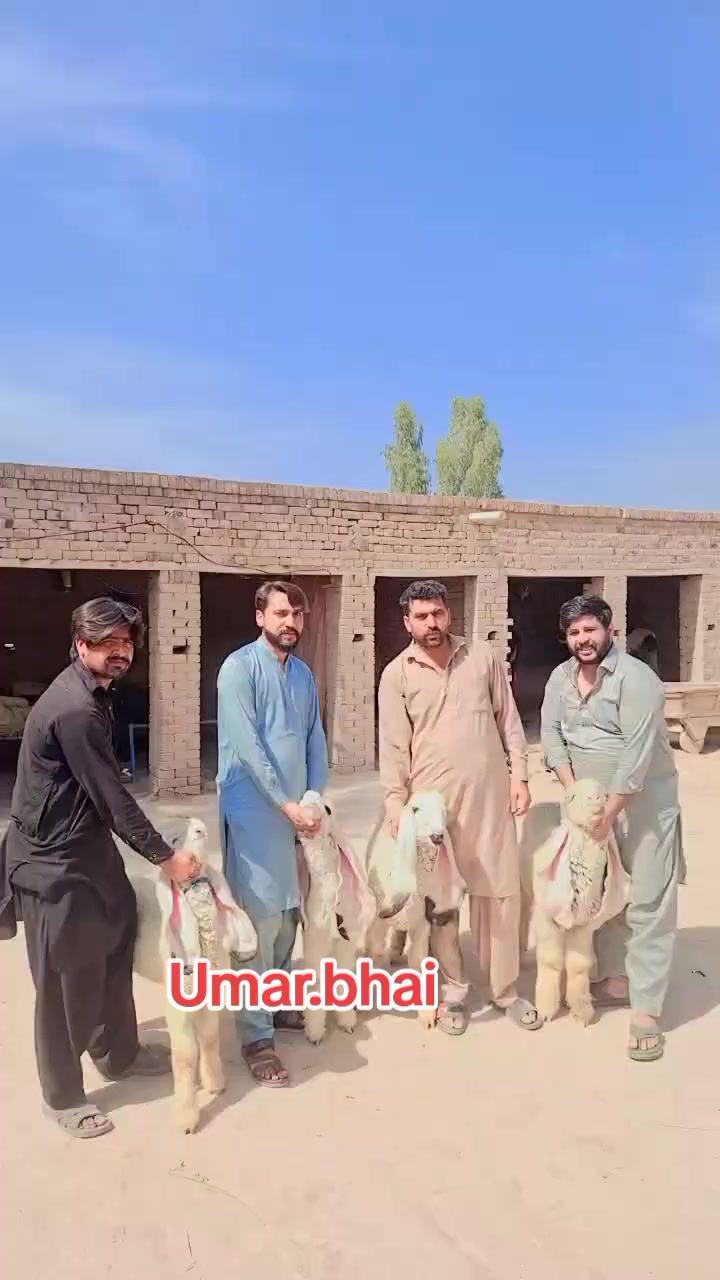 @Umar Farooq