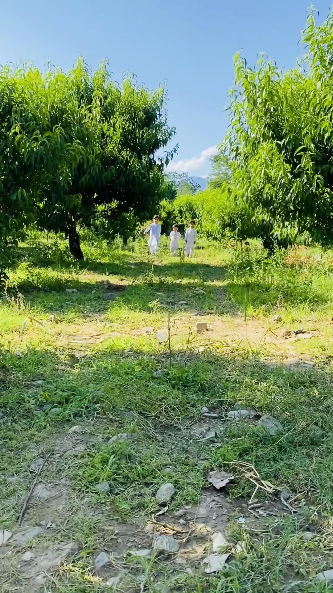 @🫀ملک عدنان خان🫀