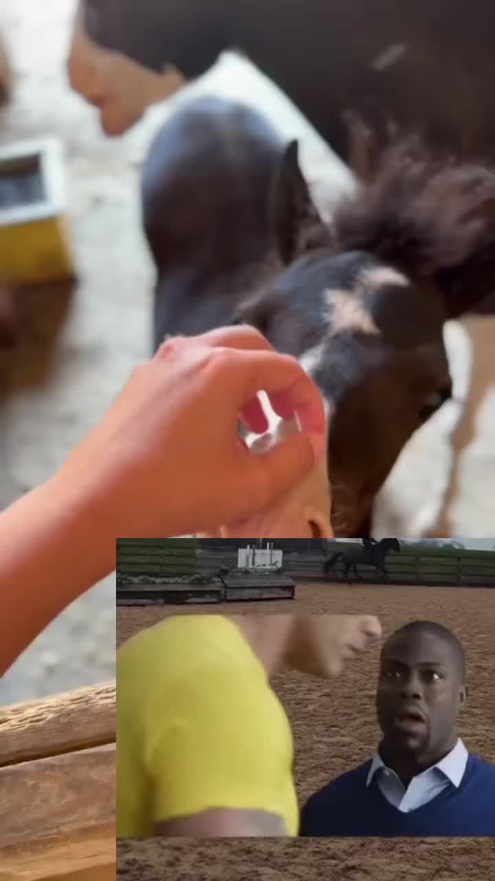 @AmandaAdams