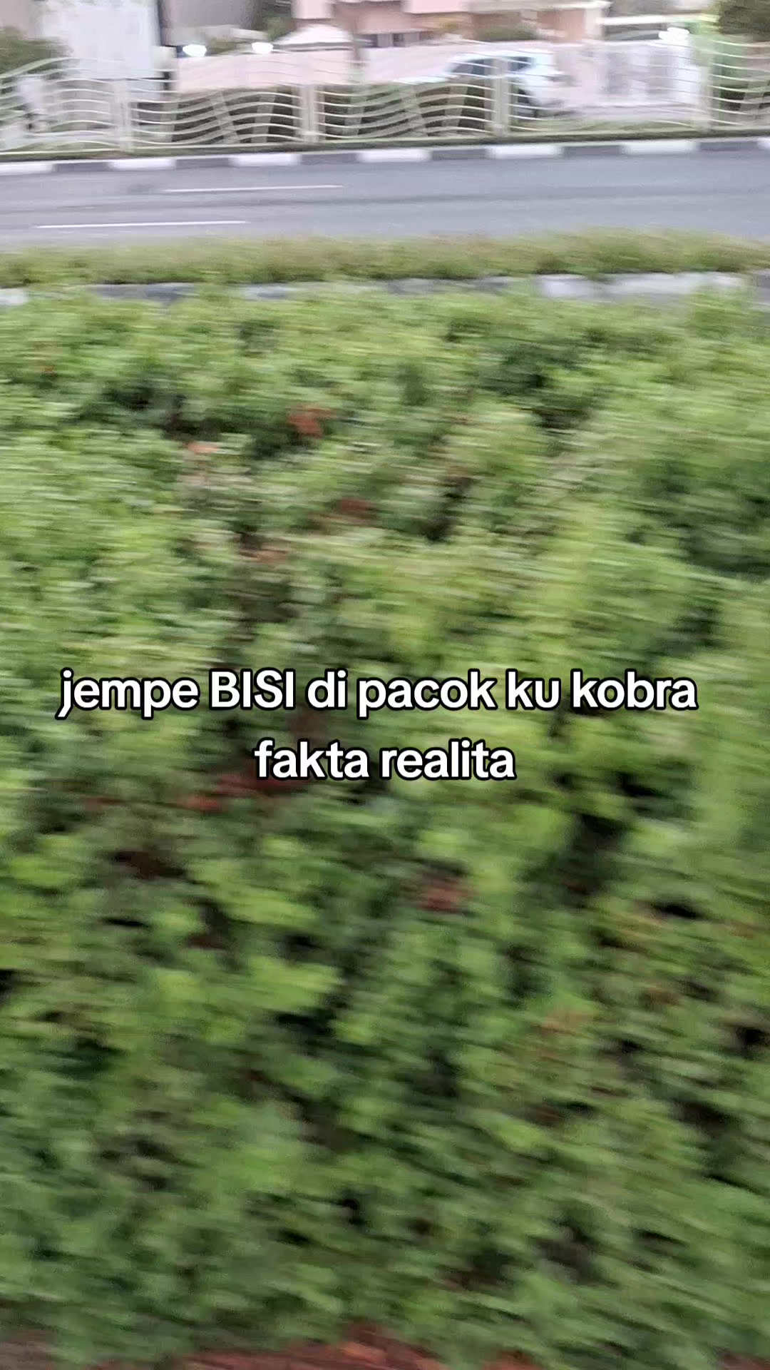 @hirup aing kumaha aing